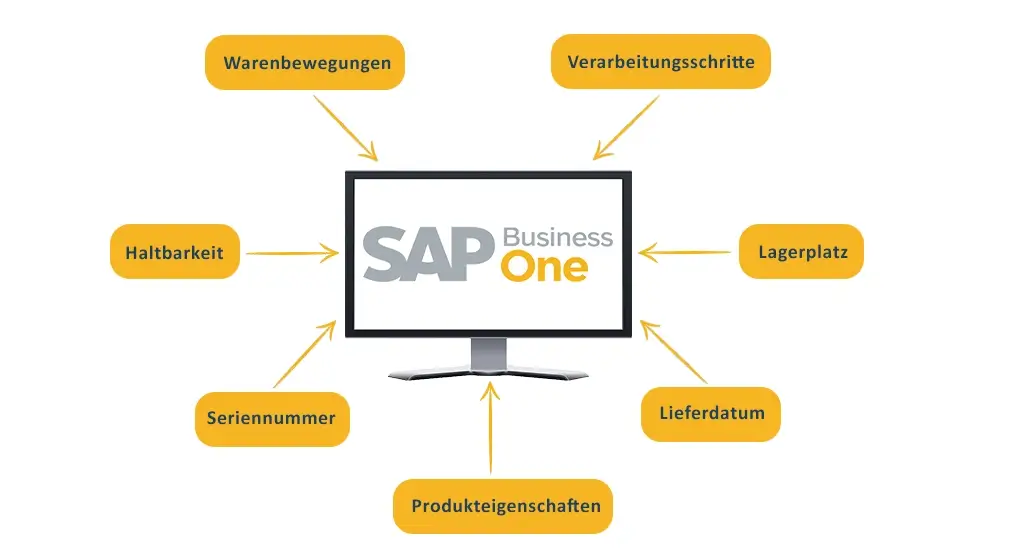 Informationen zu einer Charge in SAP B1