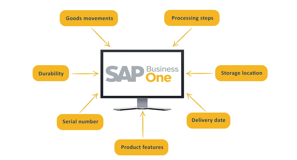 Information about batches Information about batches in SAP B1