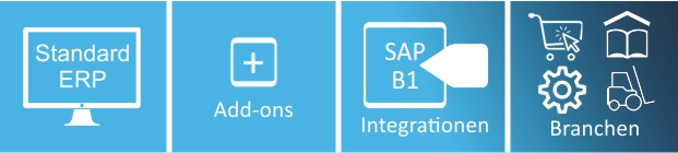 Referenzen SAP Business One Kategorien
