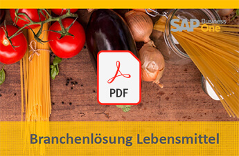 Download Flyer SAP Business One Branchenlösung Lebensmittel