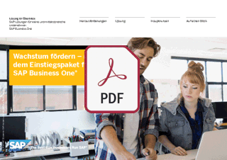 Flyer SAP Business One für Start-ups